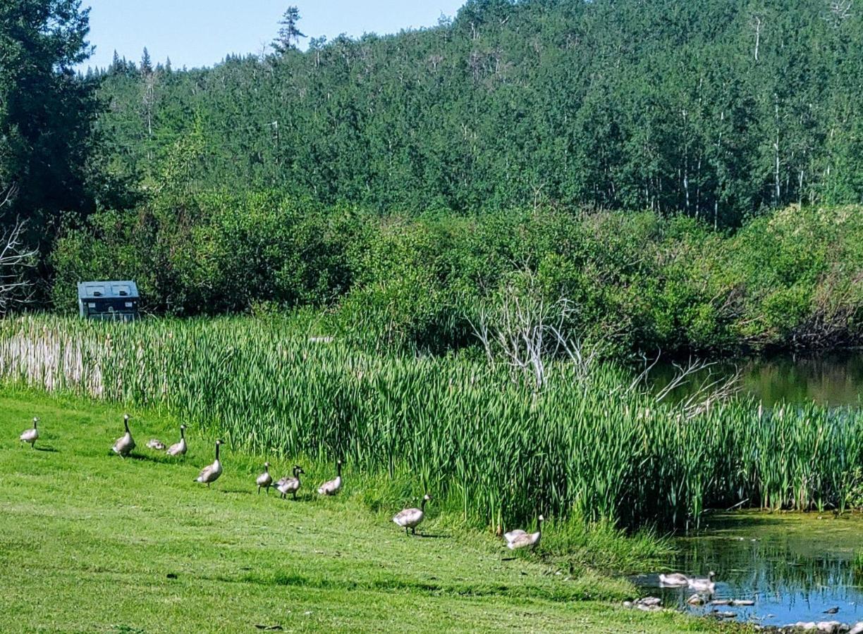 Duck Lake Lodge Babb Exterior foto